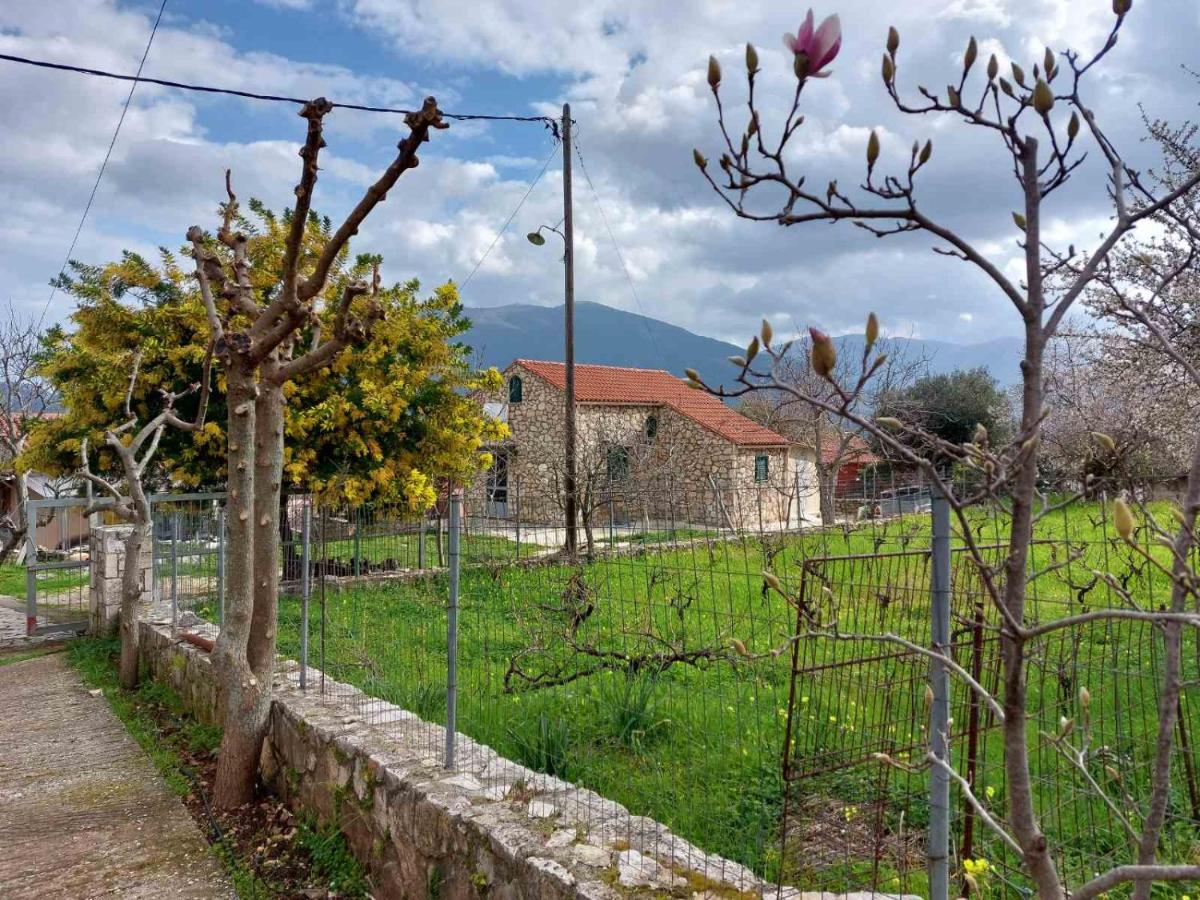 The Stone House-Zacharatos Nikolaos - B&B