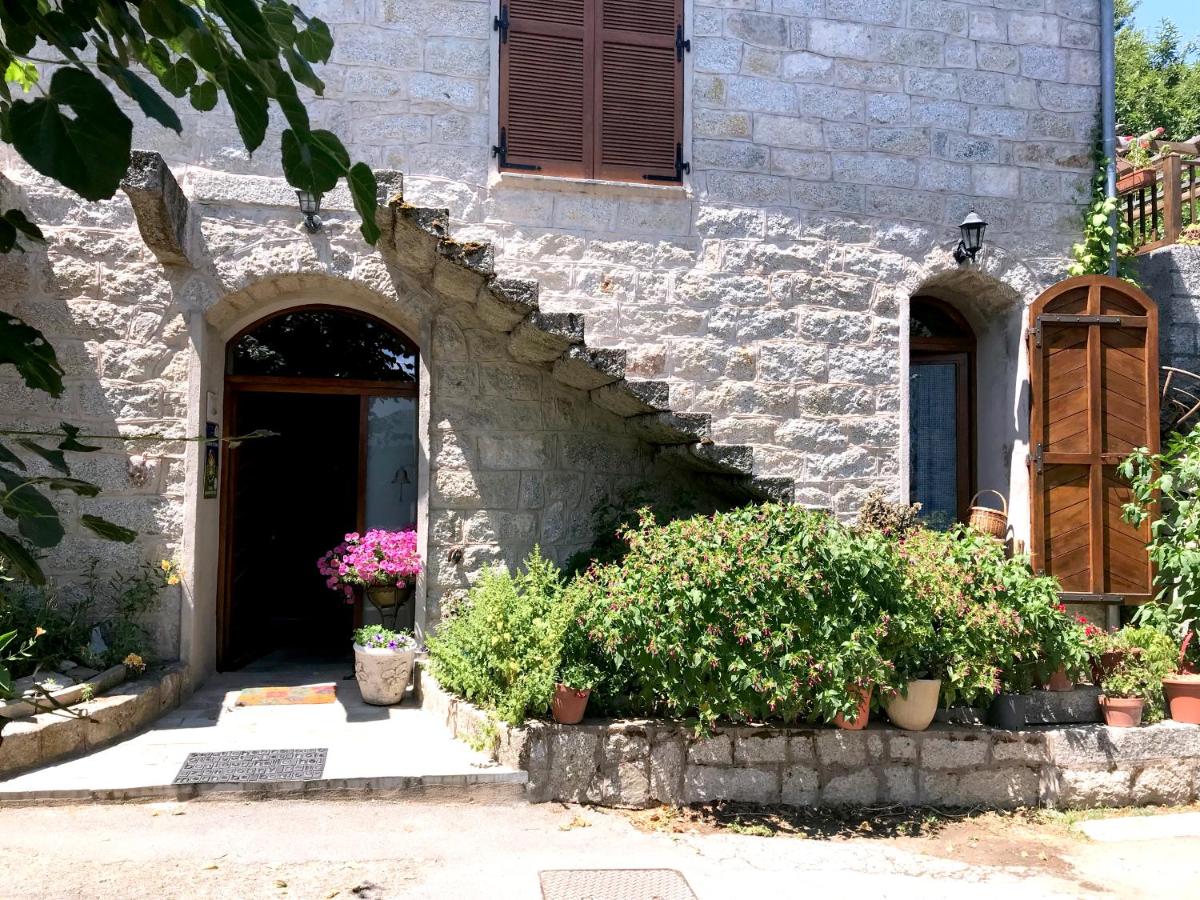 B&B Levie - Gite U fragnu di Peruccio - Bed and Breakfast Levie