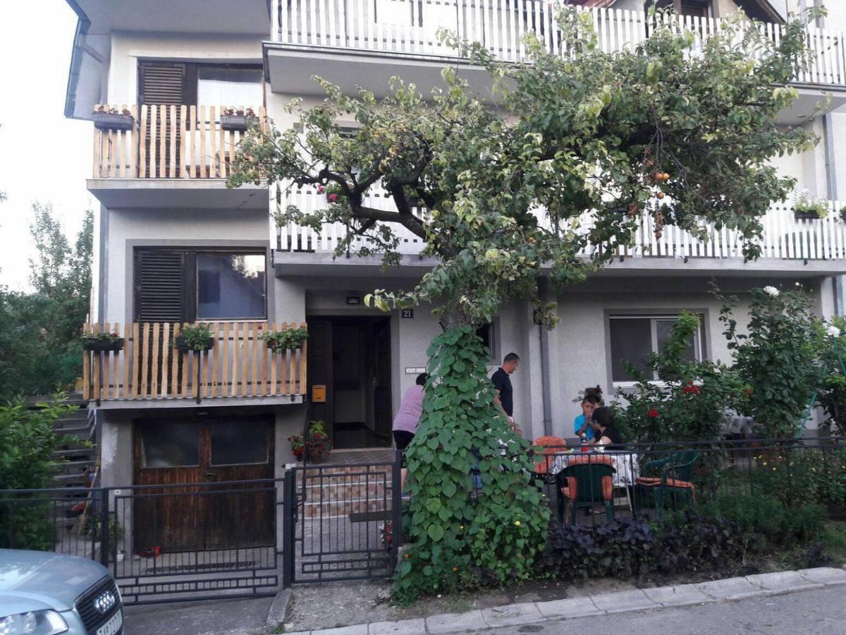 Sanja Accomodation - B&B