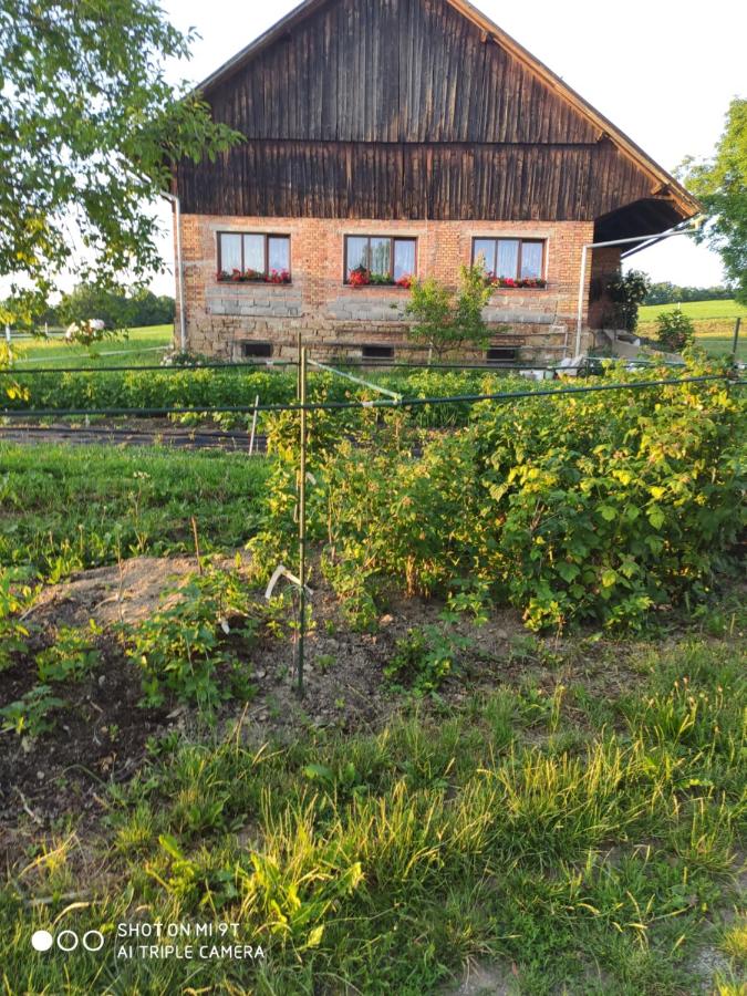 Apartmán U Milušky - Ferienwohnung
