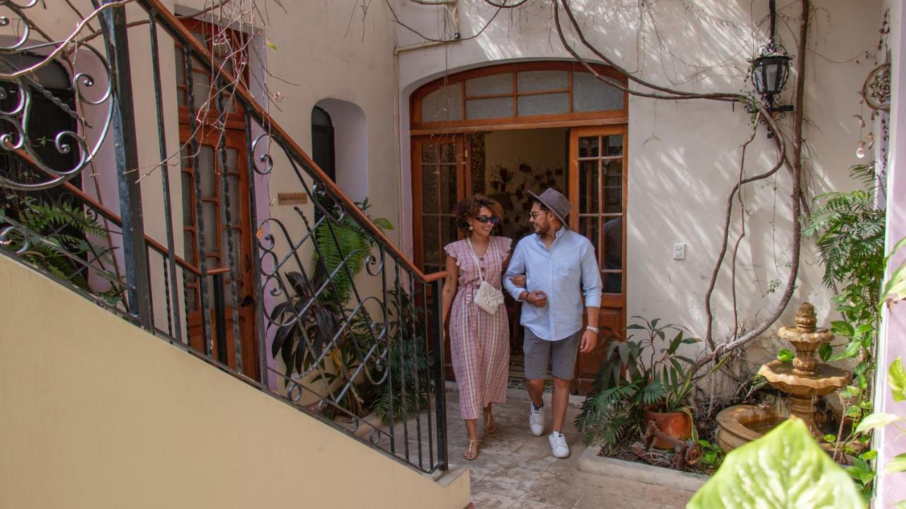 Kuka y Naranjo - B&B Mérida