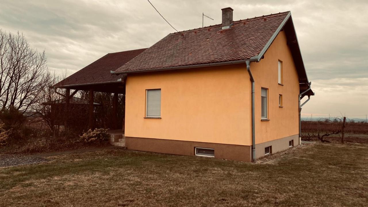 KUĆA ZA ODMOR BRZICA ERDUT - B&B
