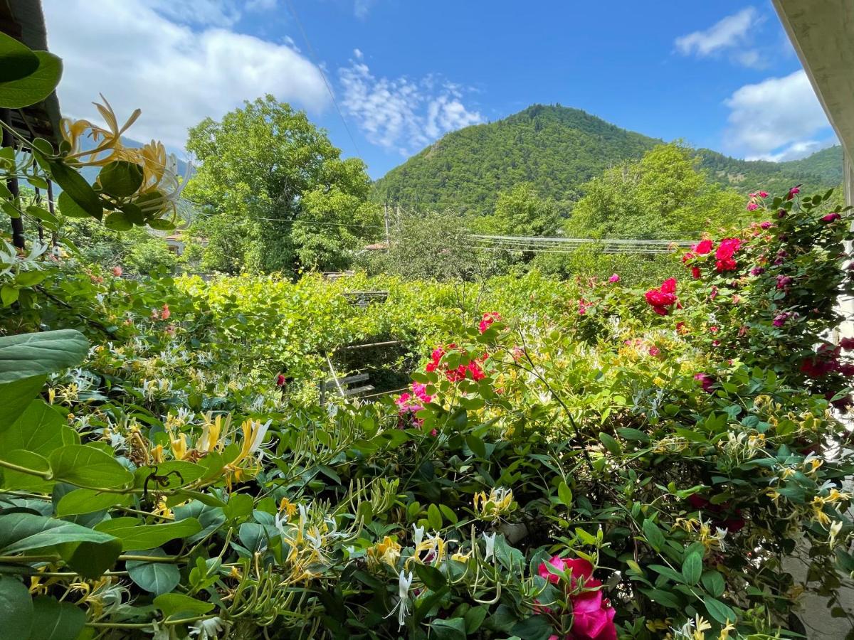 B&B Bordzjomi - Koticha - Bed and Breakfast Bordzjomi