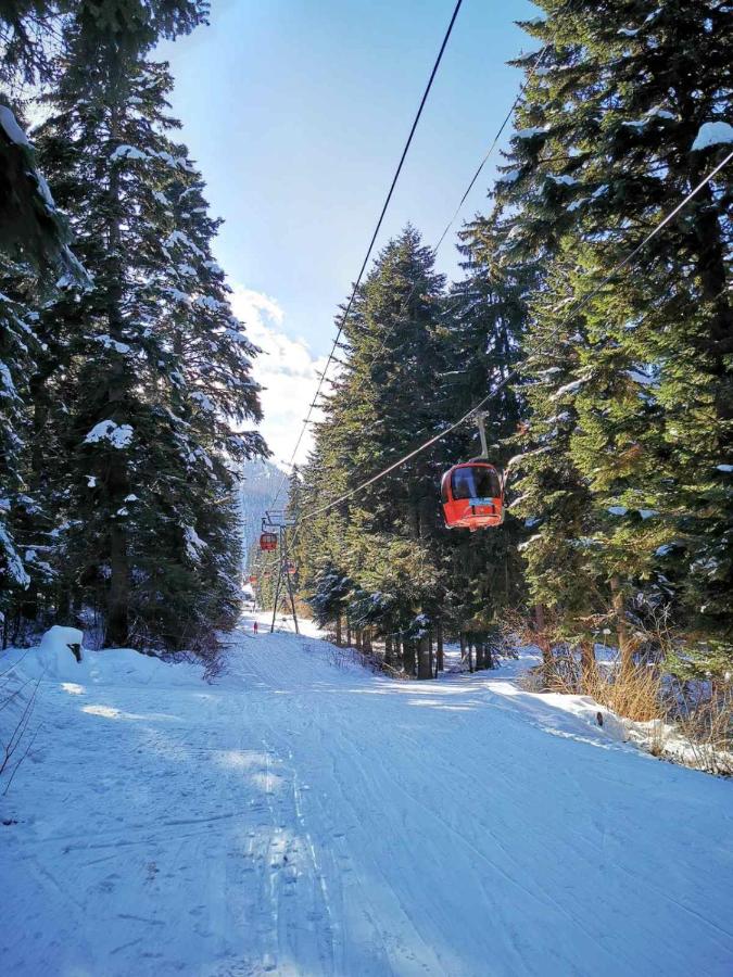 Apartment with Mountain View