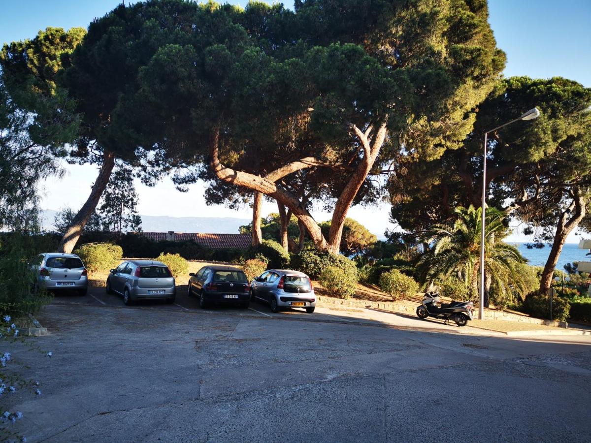 Appartement Ajaccio Sanguinaires - B&B
