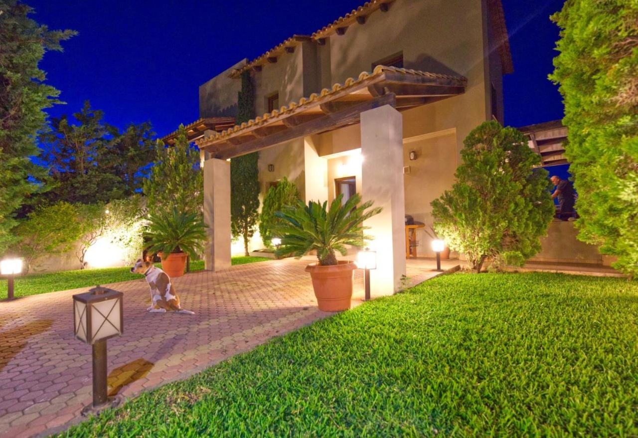 Ulivo Sea View House - B&B