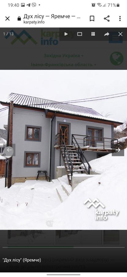 Дух лісу - B&B