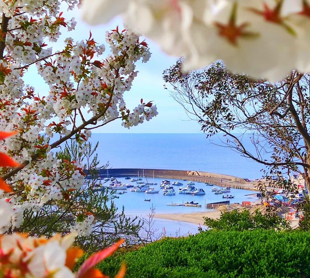 Seabreeze - B&B Lyme Regis