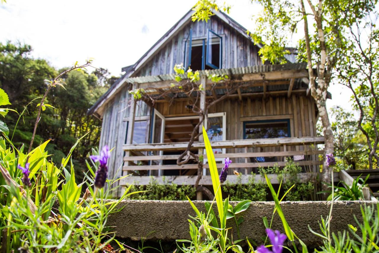 B&B Coromandel - Fern Lodge Coromandel - Bed and Breakfast Coromandel