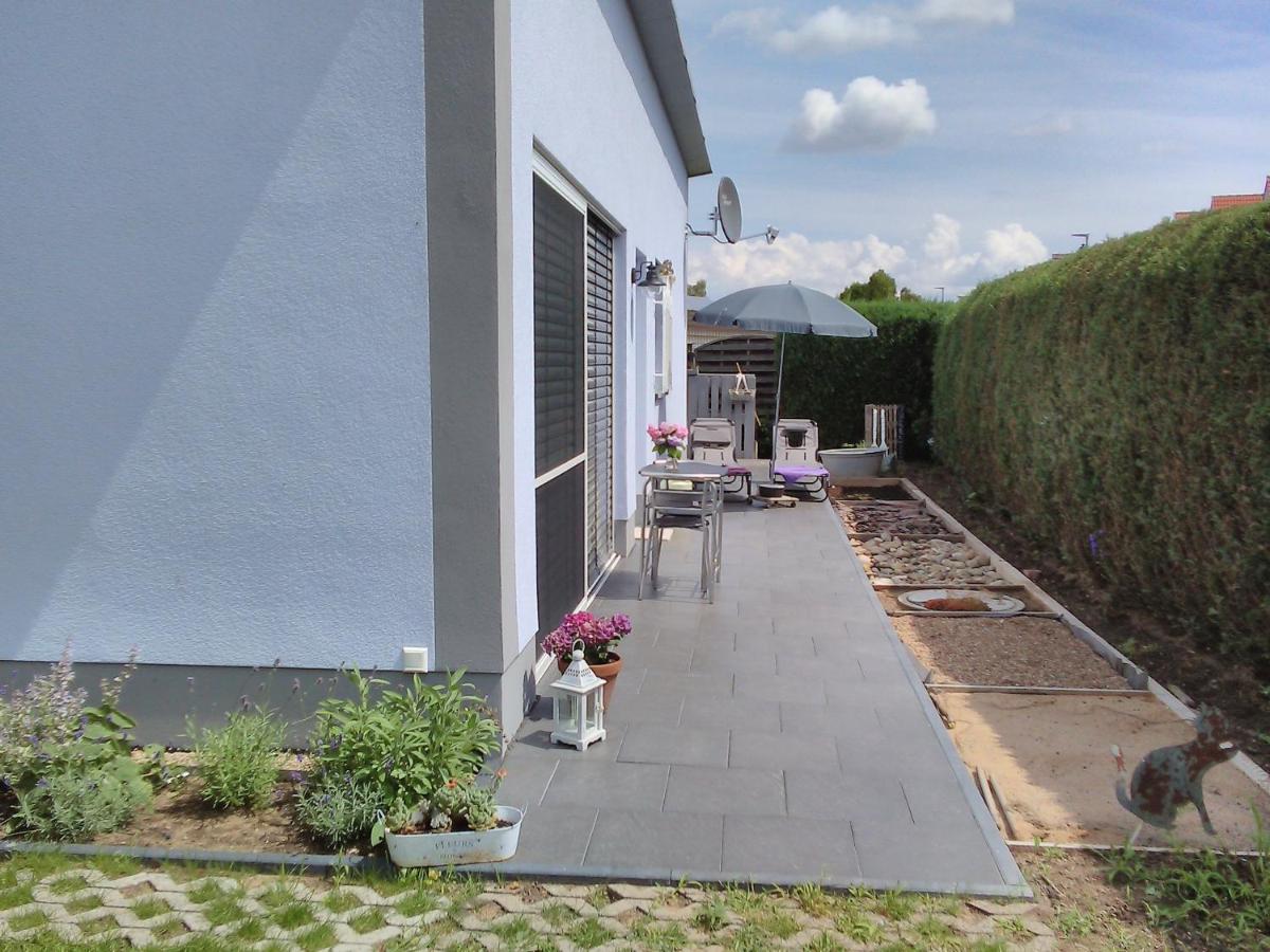 Das kleine Lavendelhaus - Ferienwohnung