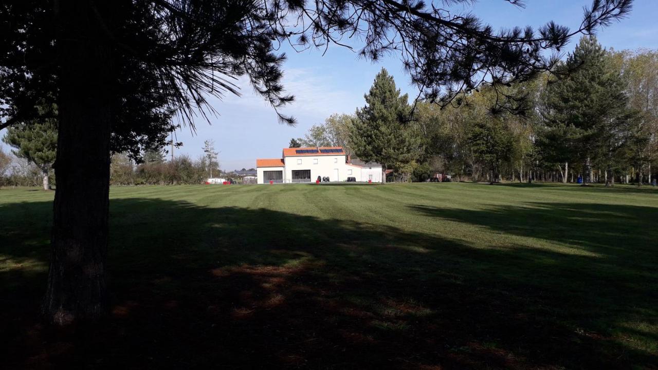 Grande maison avec parc et SPA - B&B