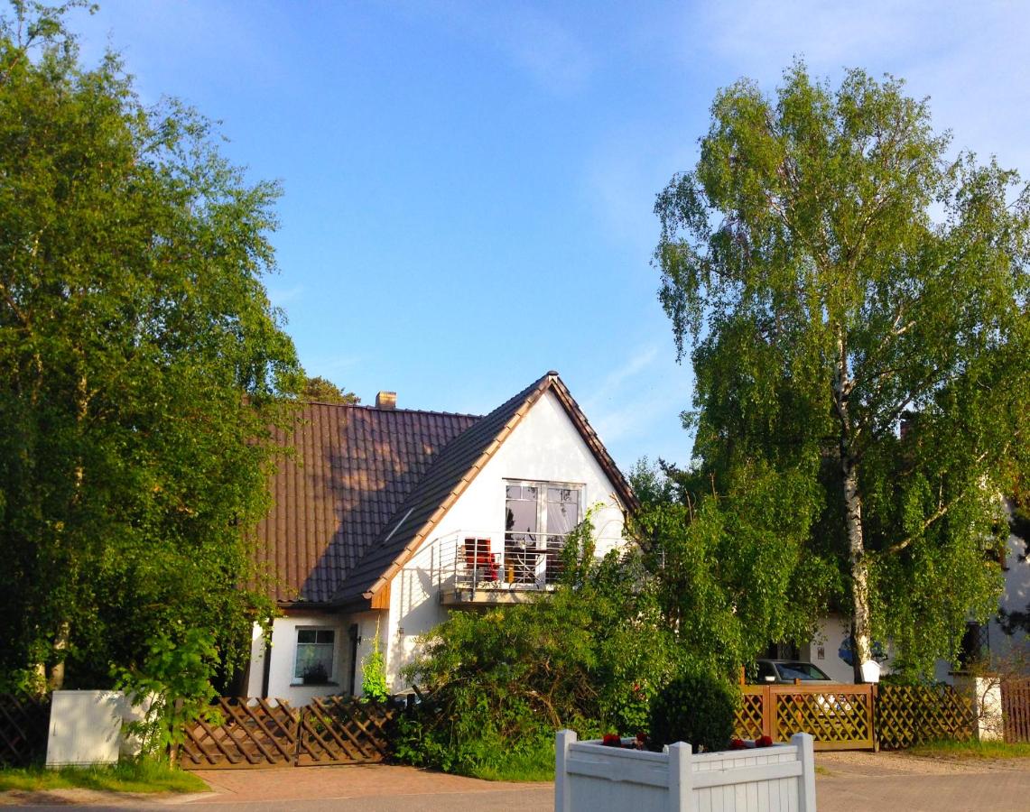 Strandhaus Fischland Darss - Ferienwohnung Strandperle - B&B