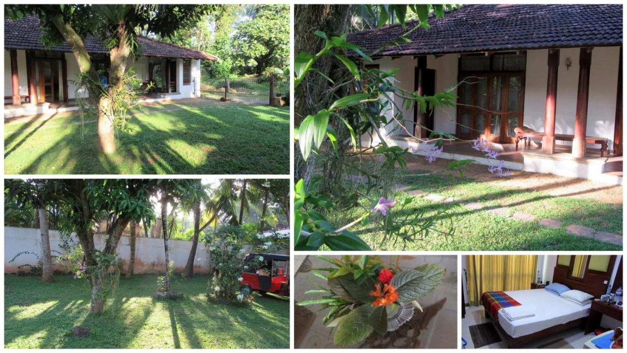 B&B Kalutara - Sagala Bungalow - Bed and Breakfast Kalutara