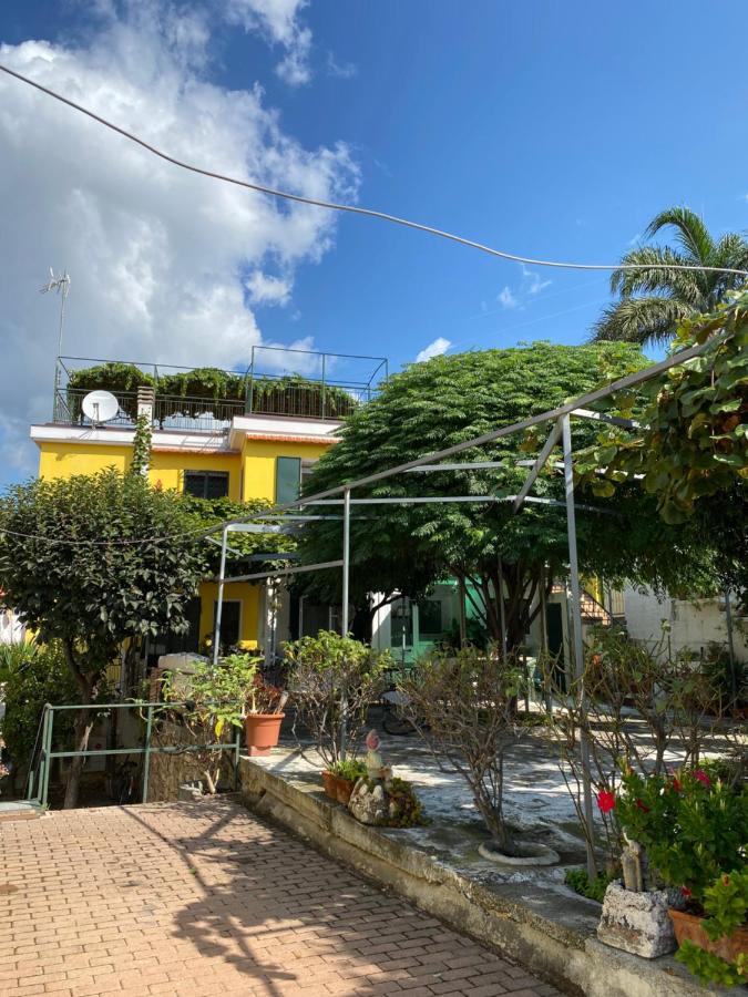 CASA MIMOSA: relax, vista mare, parcheggio gratis - B&B