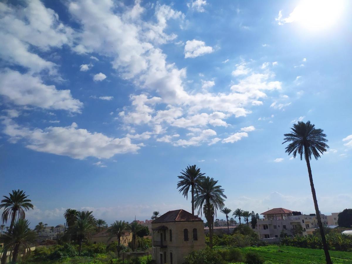 BnB La Luna Entire Apartment - B&B