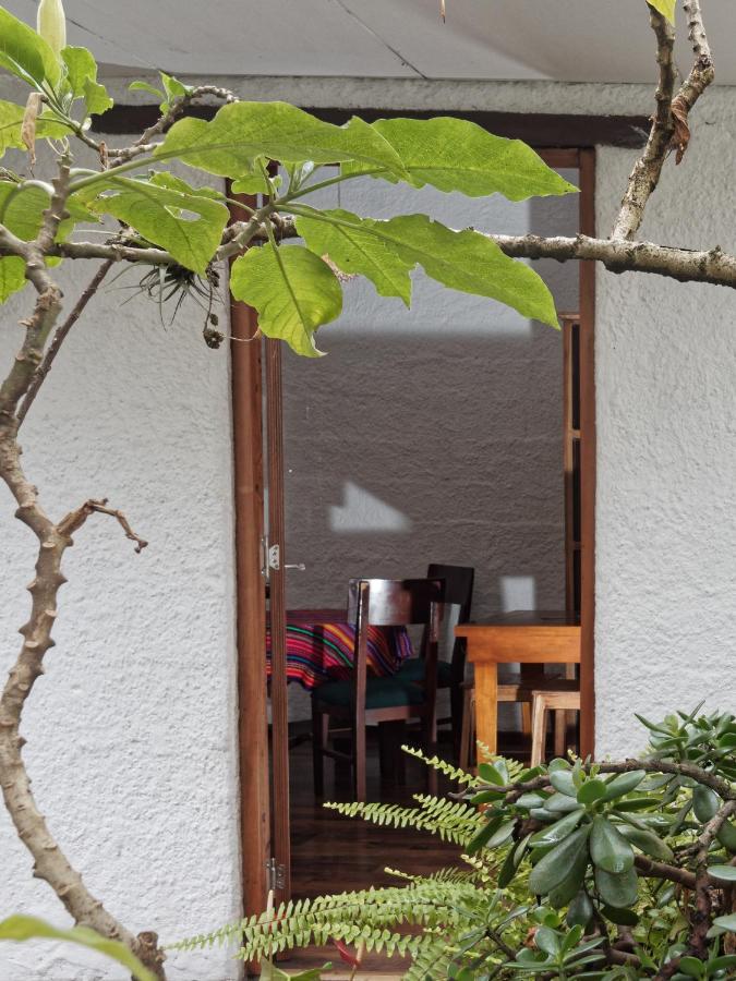 Apartamentos Otorongo Cuenca Ecuador - B&B Cuenca