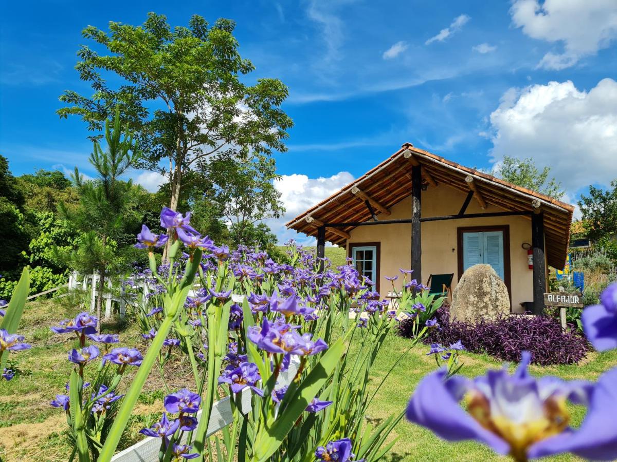 Deluxe Chalet with Hot Tub 1