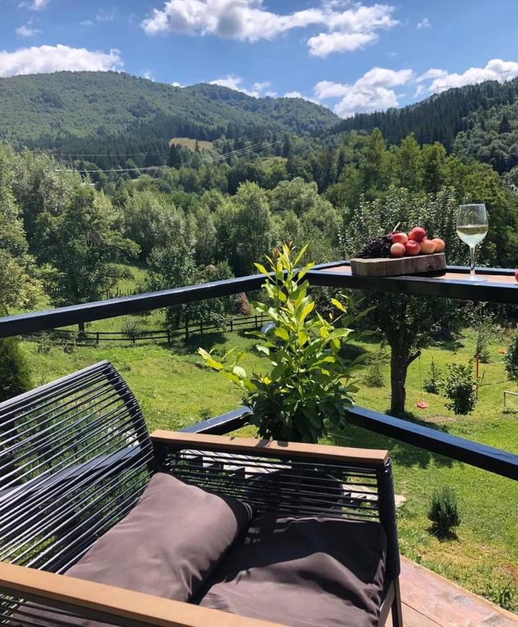 Green Yard Doftana - B&B Teșila