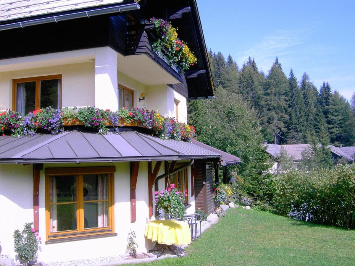 B&B Sonnenalpe Nassfeld - Holiday apartment in Nassfeld Carinthia with sauna - Bed and Breakfast Sonnenalpe Nassfeld