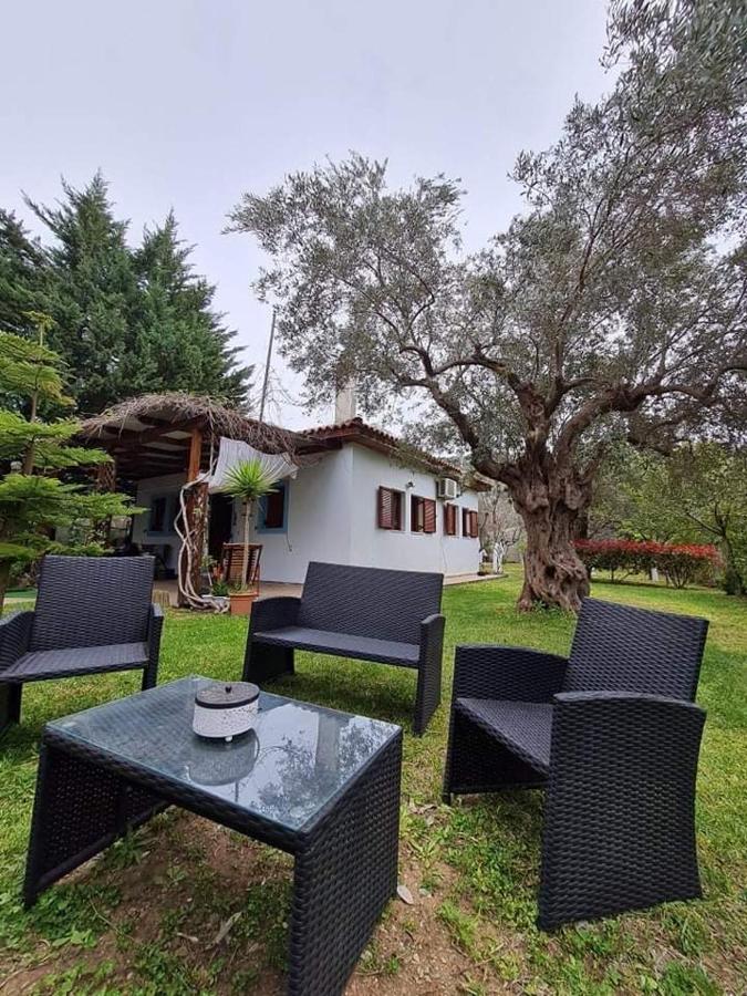 Bill's Garden Villa - Chambres d’hôtes Kálamos