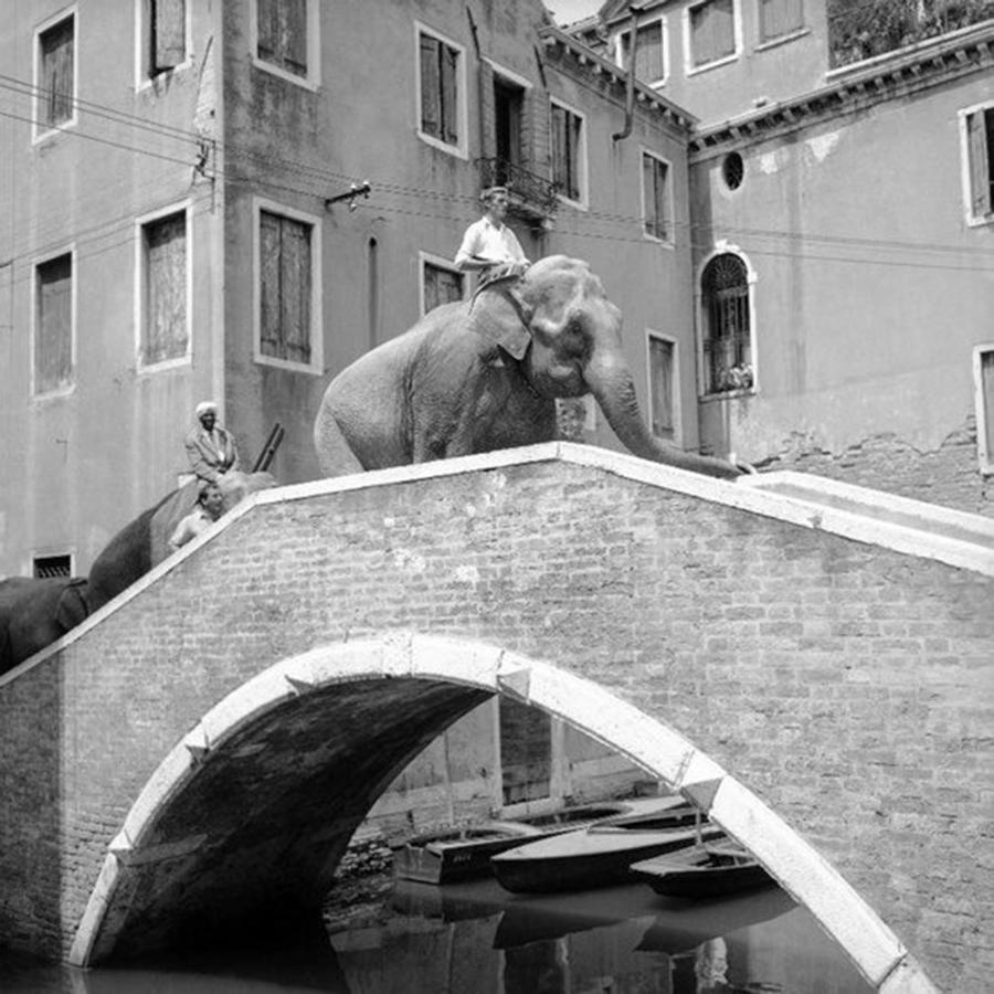Ca' Circus 4 Rooms WI-FI Fibre - B&B Venecia