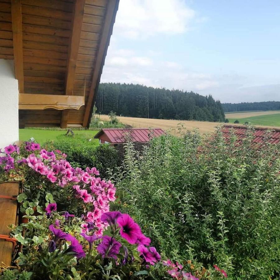 B&B Burtenbach - Ferienwohnung Maria Waldblick 95 qm- 2 Schlafzimmer mit Balkon - Bed and Breakfast Burtenbach