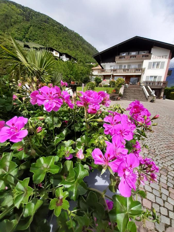 Chalet Anna - B&B Marlengo