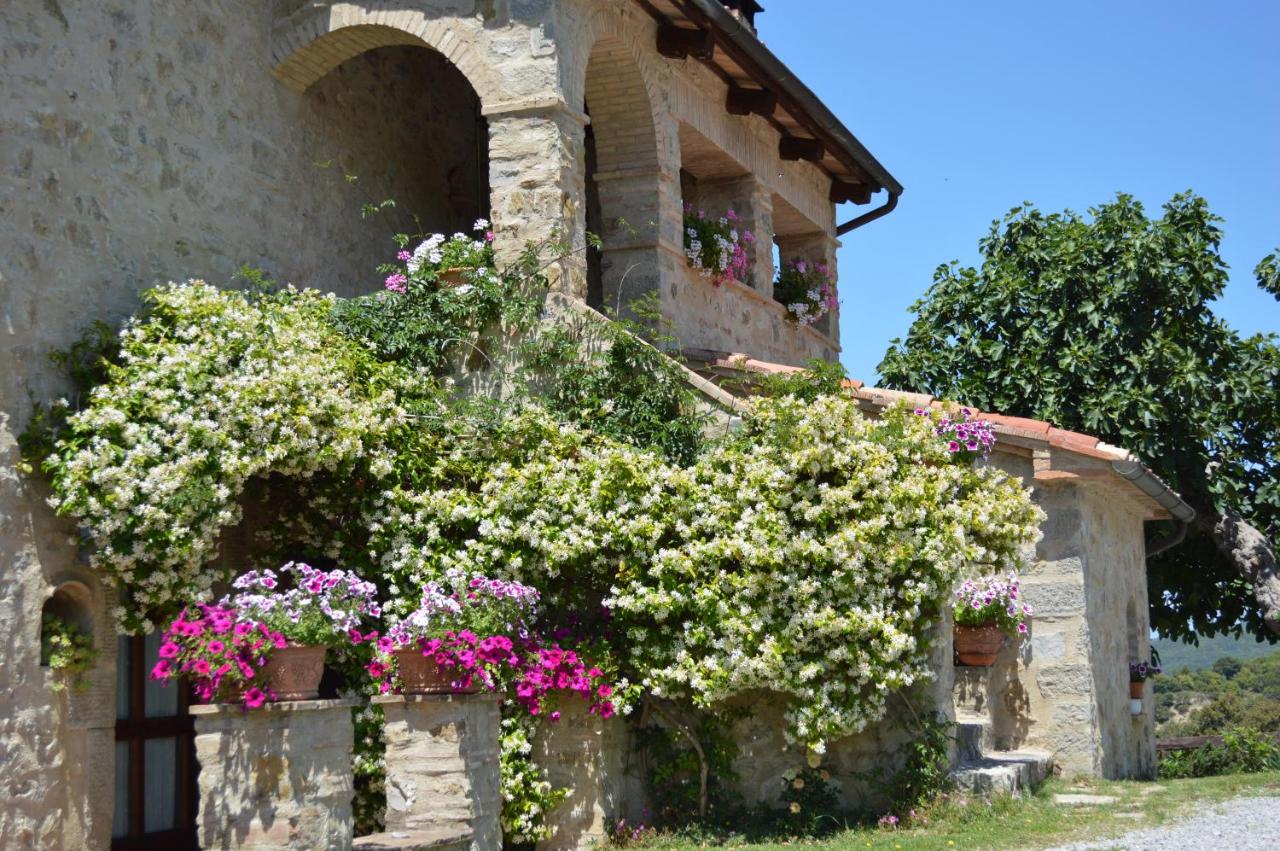 Bellavista - B&B