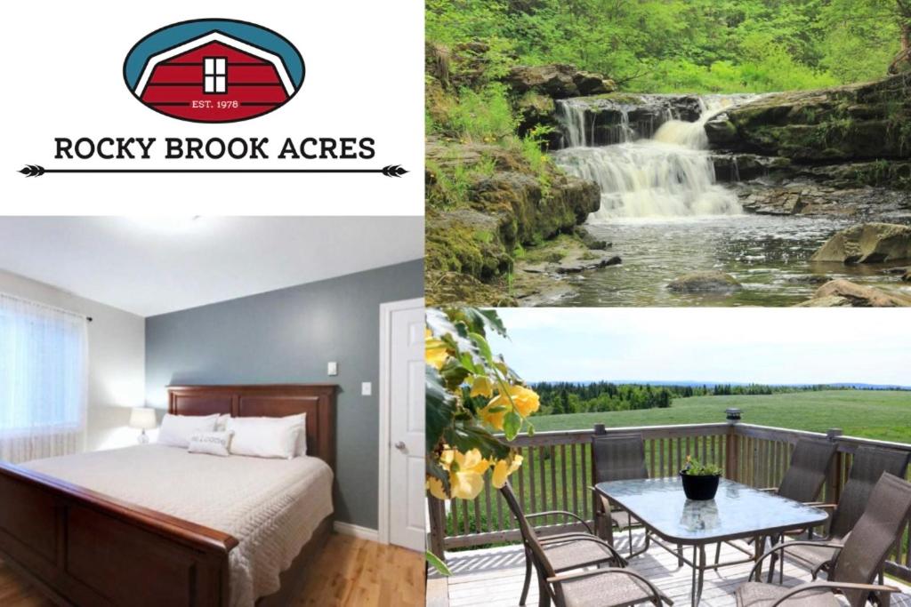 B&B Cormack - Rocky Brook Acres - Bed and Breakfast Cormack