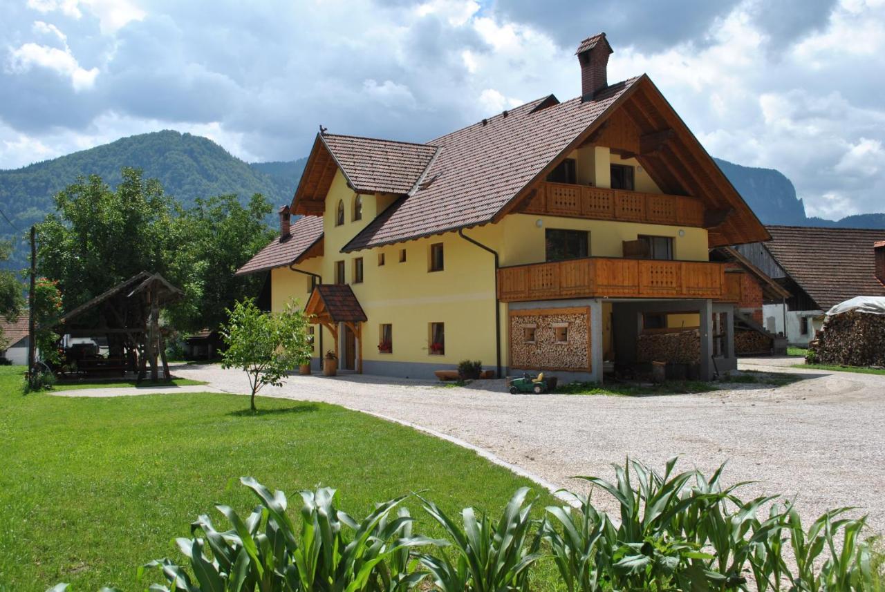 B&B Bled - Farm Holidays Povsin - Bed and Breakfast Bled