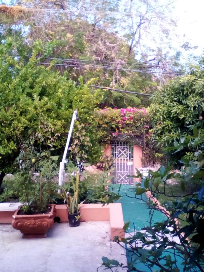 Castlevue B&B - B&B