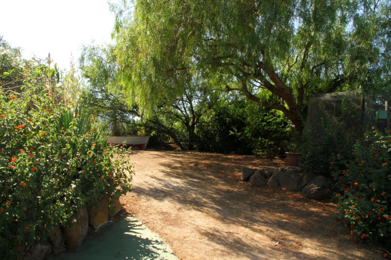 Casa Terranova - B&B Ustica