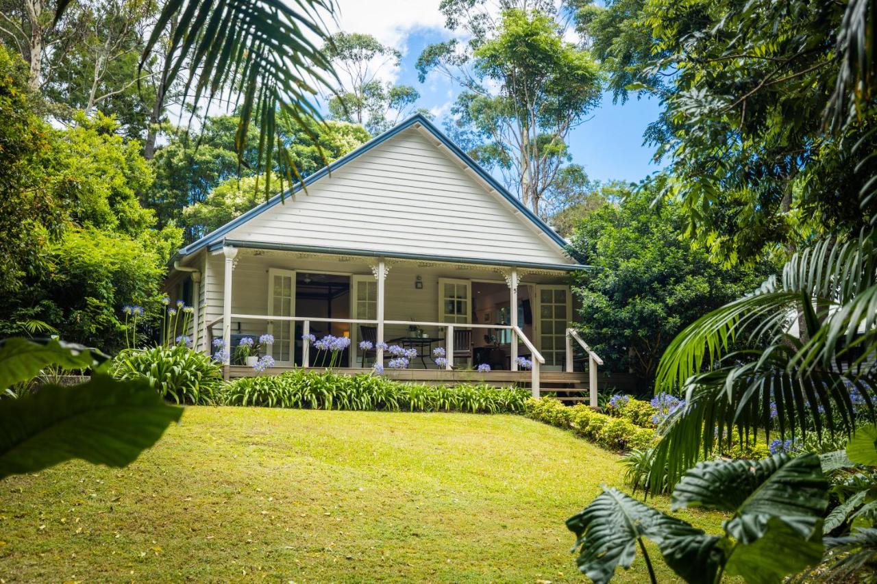 B&B Tamborine Mountain - Curtis Falls Cottage, Tamborine Mountain - Bed and Breakfast Tamborine Mountain