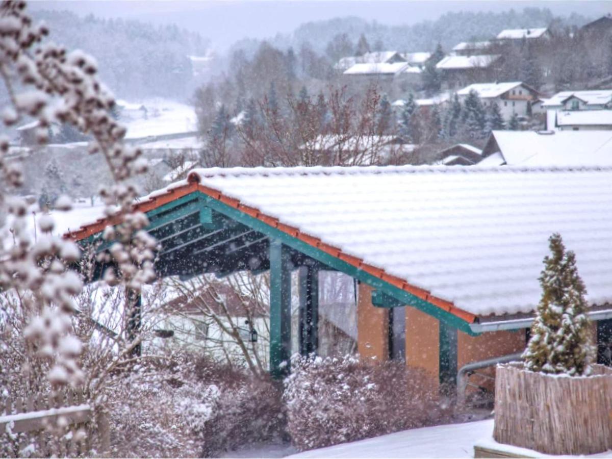 B&B Viechtach - Holiday home with jacuzzi and sauna - Bed and Breakfast Viechtach