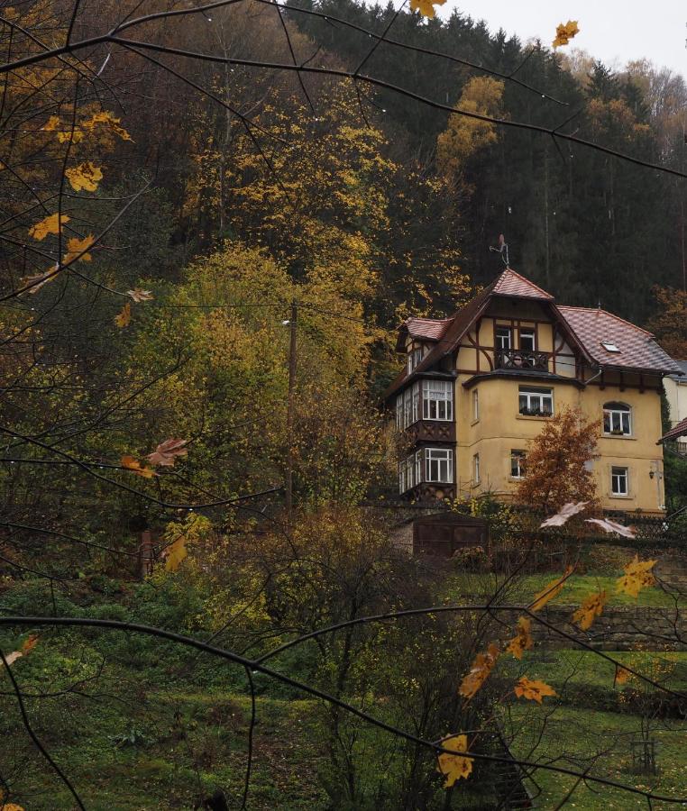 Villa Falkenstein - B&B