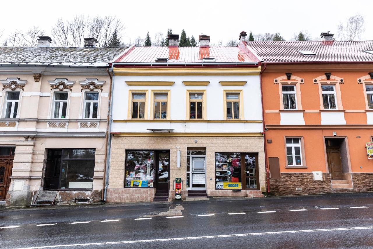 Tuan Long Apartments - B&B Jáchymov