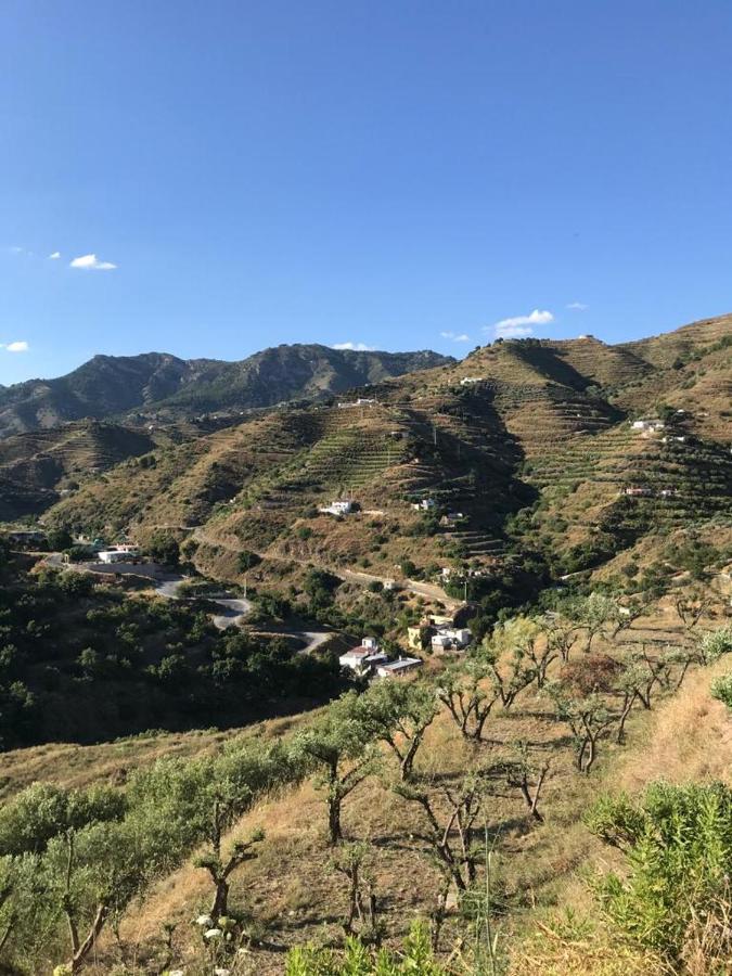Casa el Olivo Almuñécar - B&B
