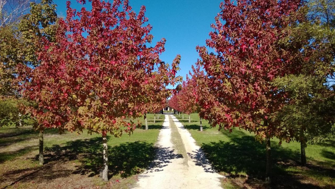 Korbaylen Estate - Ferienwohnung Hamilton