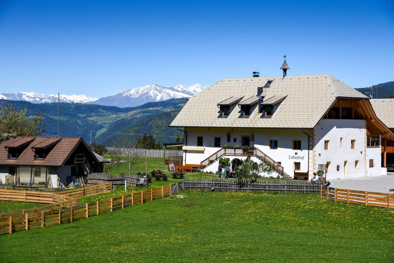 Lobishof - B&B Soprabolzano