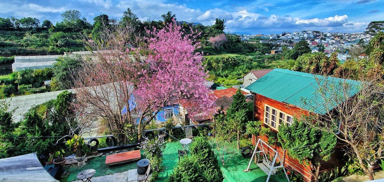 Đèn lồng homestay & coffee - Ferienwohnung Ðà Lạt
