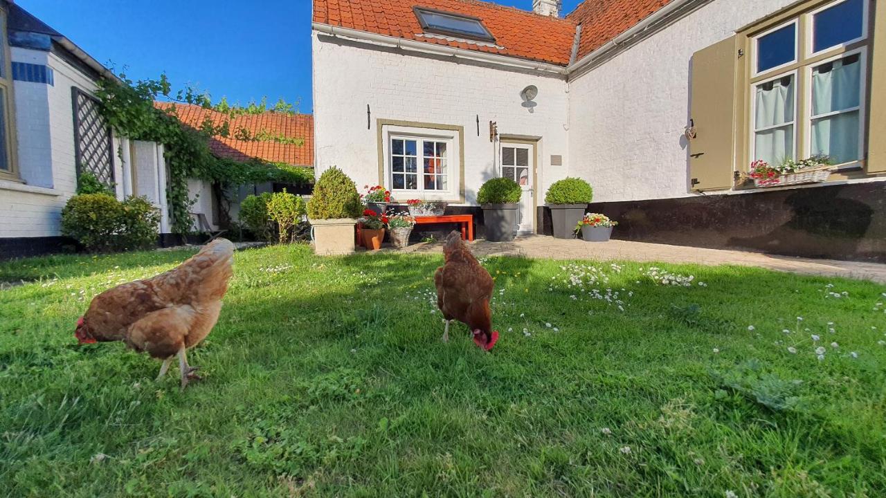 gîte Artbnb - Ferienwohnung Armbouts-Cappel