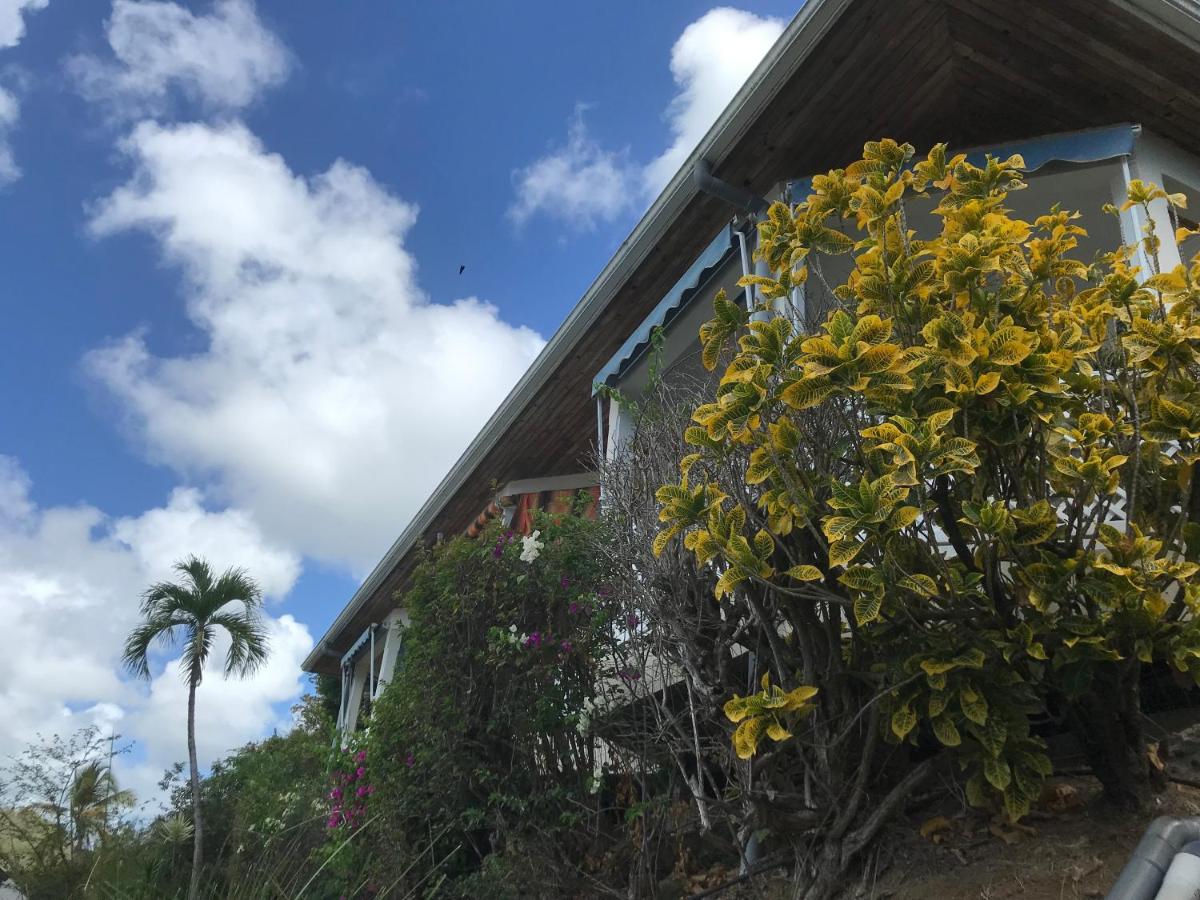 Belfond-Tropical - Ferienwohnung Sainte-Anne