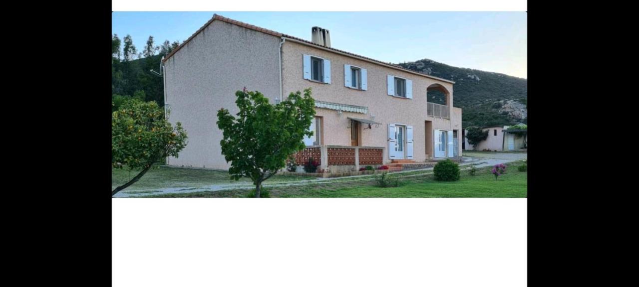 130m2 qui surplombe la baie de Calvi vue citadelle - B&B