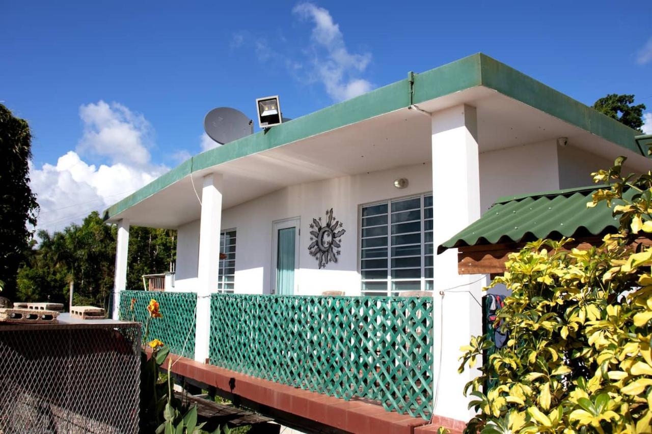 Pancho's Paradise - Rainforest Guesthouse with Pool, Gazebo and View - B&B