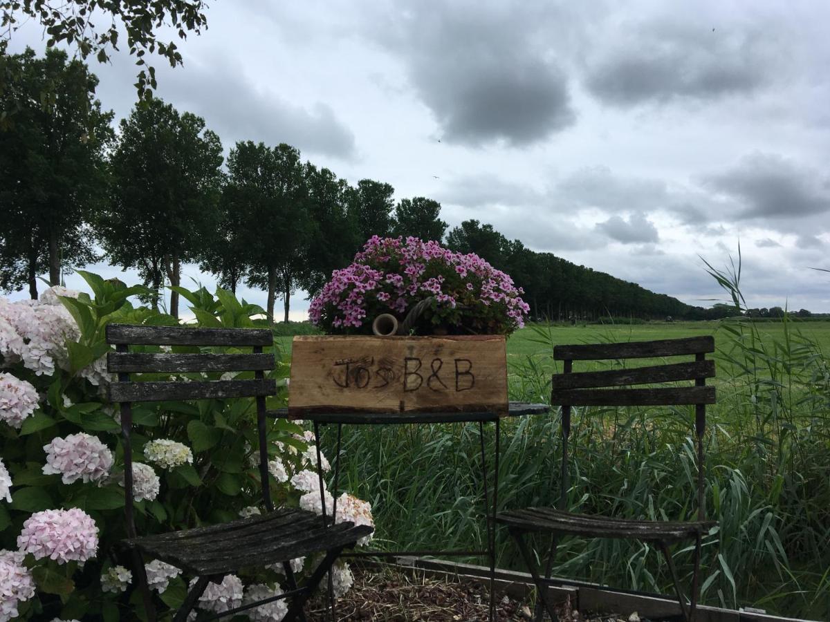 Jo's B&B - B&B