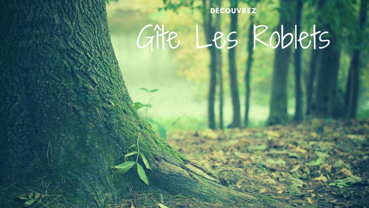 Gîte « les roblets » - B&B Bougey