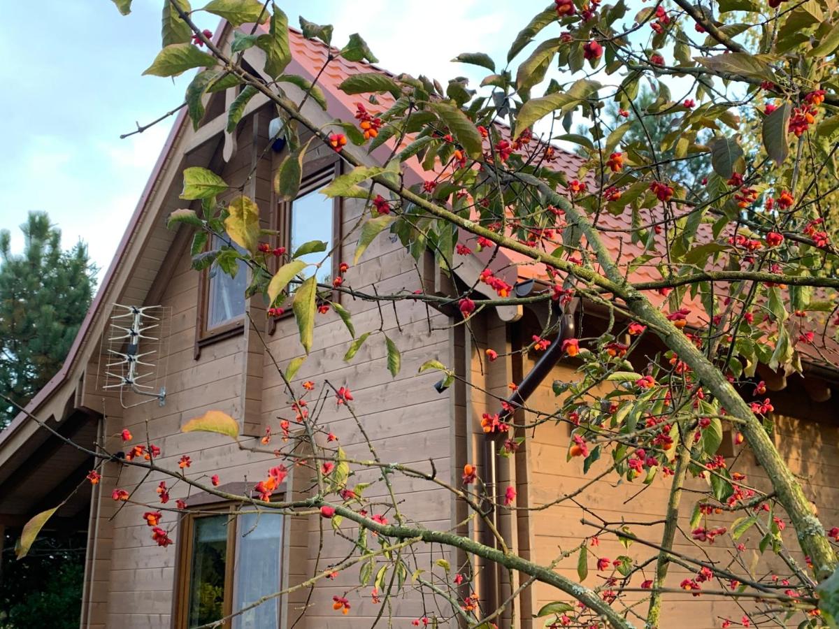 KrzyweProgi - domek na Mazurach nad jeziorem Krzywe - B&B Dłużec