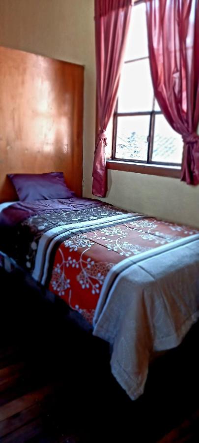 Bed in 6-Bed Mixed Dormitory Room