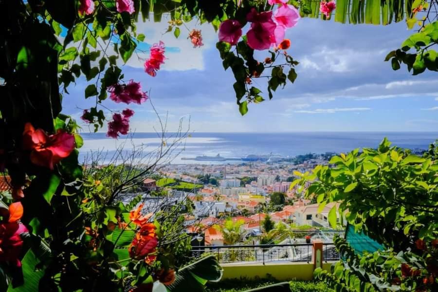 B&B Funchal - Granny's house view - Bed and Breakfast Funchal