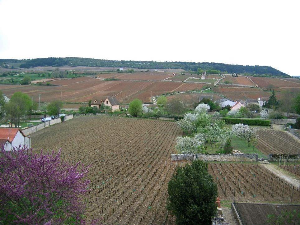 B&B Meursault - Les Meix sous le Château - Bed and Breakfast Meursault